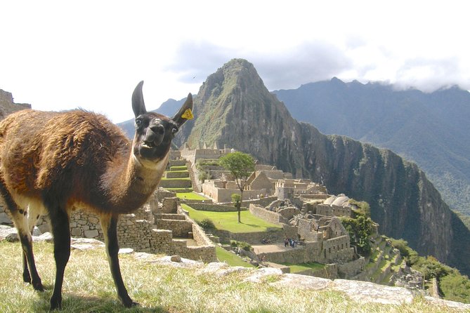 Day Trip Tour to Machu Picchu from Cusco - The 4:30 a.m. pickup from Cusco