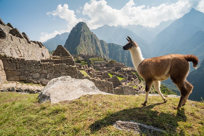 Day Trip Tour to Machu Picchu from Cusco - What the $429 price really buys