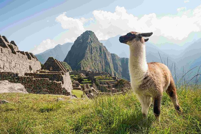 Day Trip Tour to Machu Picchu from Cusco - Ollantaytambo and the morning train