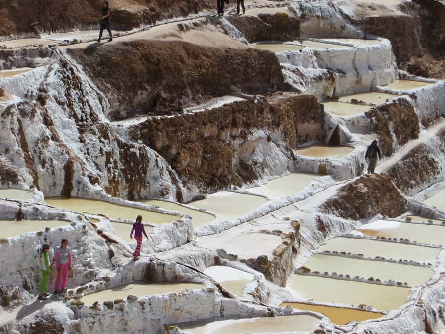 Desde Cusco: Moray Salinas de Maras y Tejedores de Chinchero - Booking flexibility and timing