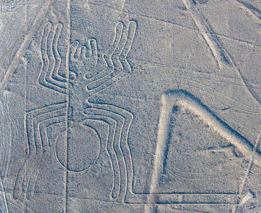 Discover Paracas, Ica and Nasca in a 2 days and 1 night trip - The long return to Lima
