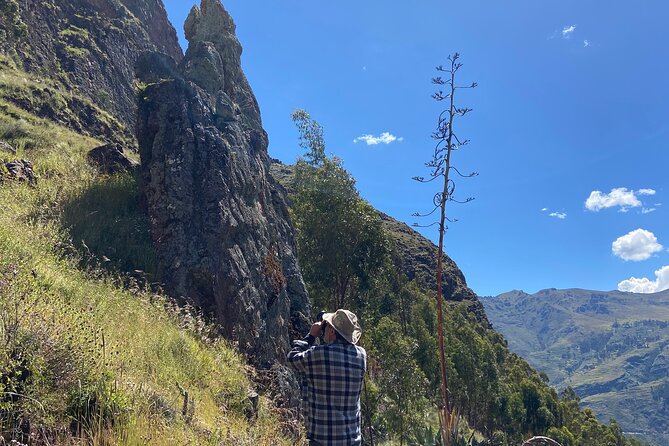 Discover the secrets of Andean nature in Pisac - Walking through the village above Pisac