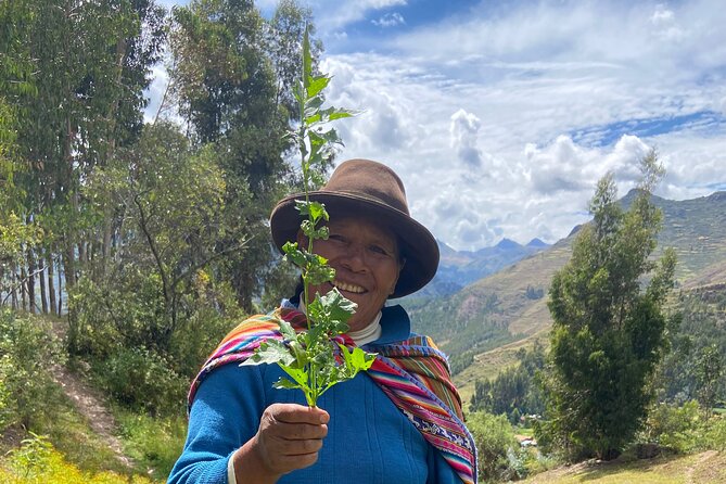 Discover the secrets of Andean nature in Pisac - Learning the traditional uses of medicinal plants