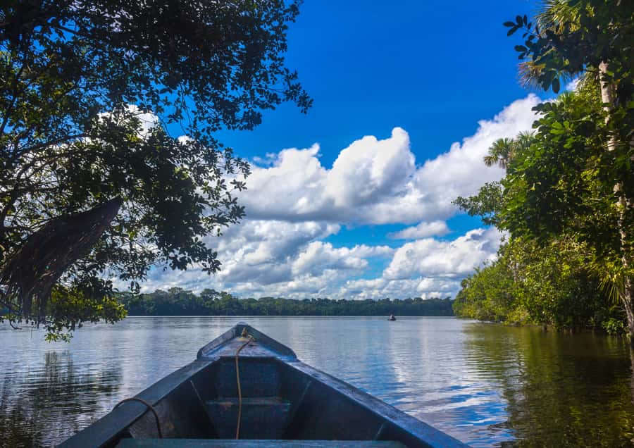 Excursion 3 days/2 nights in the jungle - Day 1: From Puerto Maldonado to your first jungle walk
