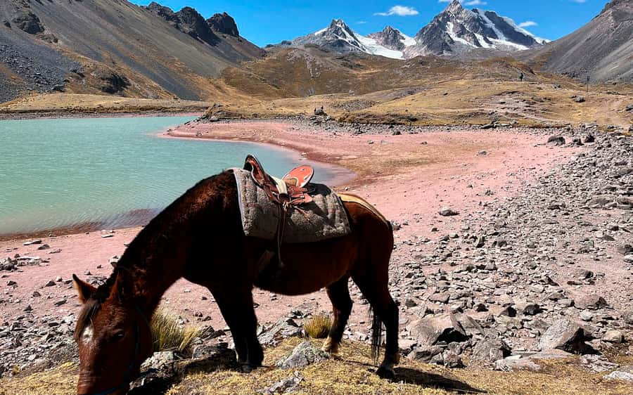 Excursion: Explore in one day the 7 lakes of Ausangate from Cusco - Key Things to Know Before You Book