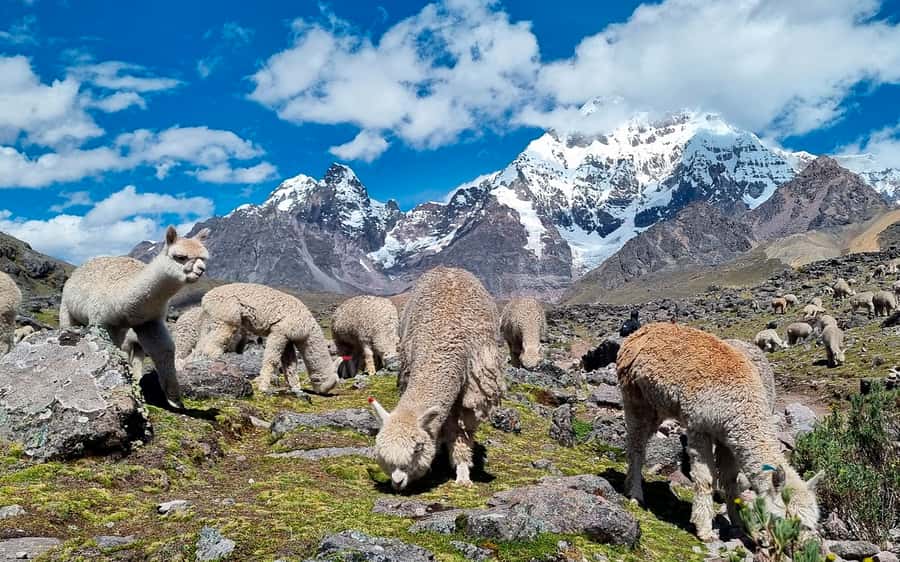 Excursion: Explore in one day the 7 lakes of Ausangate from Cusco - Walking the Seven-Lake Trail