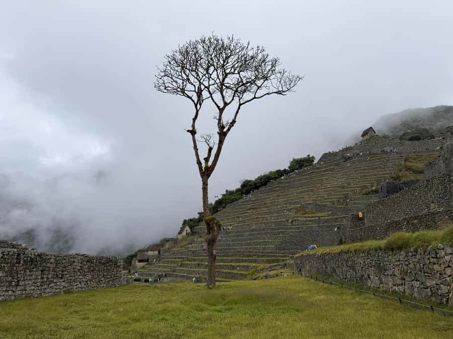 Excursion from Cusco to Machu Picchu + Entrance Tickets Incl - Walking through Machu Picchu on a fixed circuit