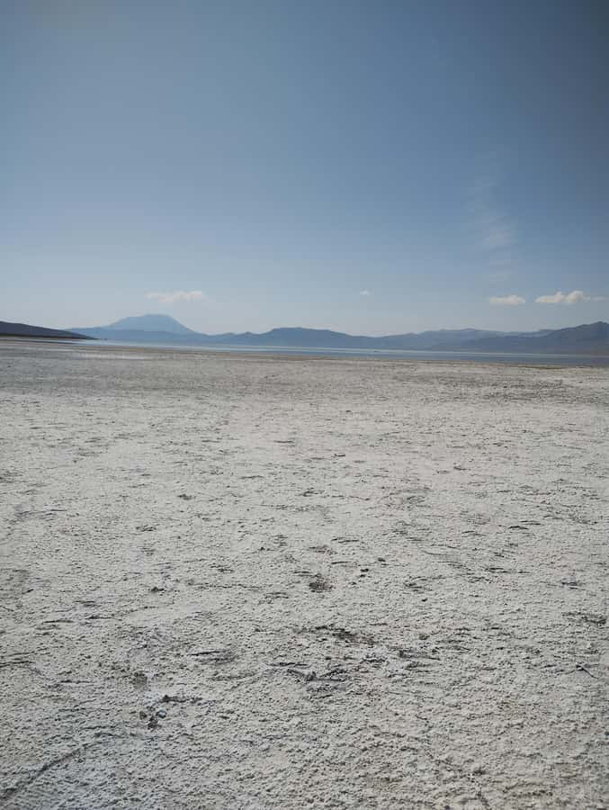 Excursion: Lagoon and National Reserve of Salinas and Aguada Blanca in Arequipa. - Key points to know before booking