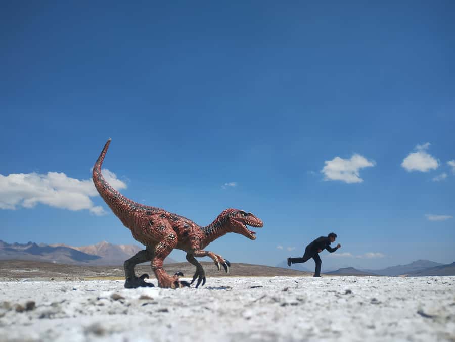 Excursion: Lagoon and National Reserve of Salinas and Aguada Blanca in Arequipa. - What this Arequipa day trip is really like