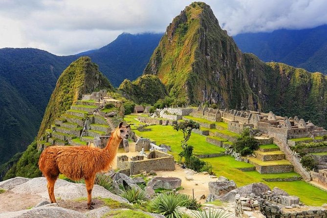 Excursion to MachuPicchu from Cusco with lunch | Private Service| - A Very Early Start From Historic Cusco