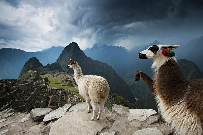 Excursion to MachuPicchu from Cusco with lunch | Private Service| - Ollantaytambo to Aguas Calientes by Expedition Train