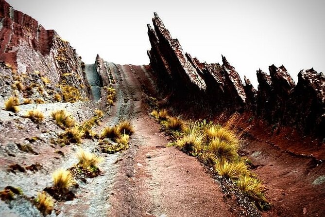 Excursion to Pallay Punchu from Cusco with Coca Ceremony Private. - The return drive to Cusco
