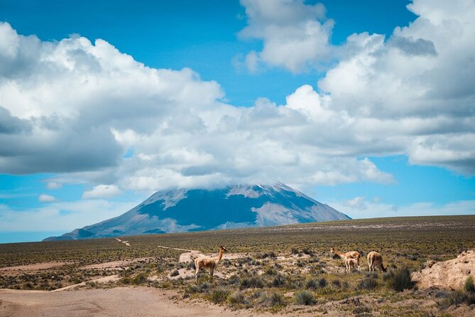 Explore Puruña Stone Forest & Pillones Waterfalls – Full-Day Tour - Why this full-day outing is worth considering