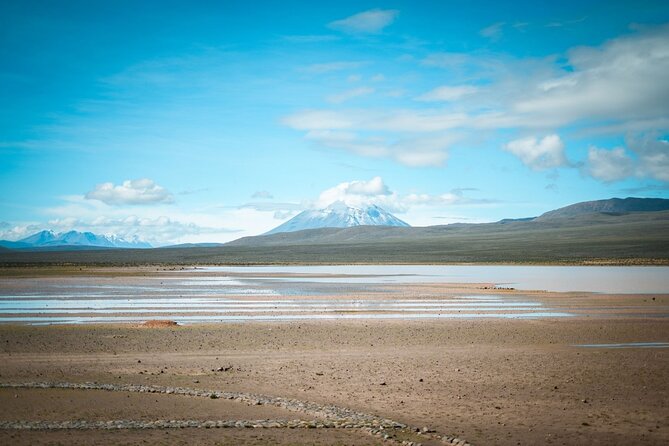 Explore Puruña Stone Forest & Pillones Waterfalls – Full-Day Tour - Patahuasi tea and the problem of altitude