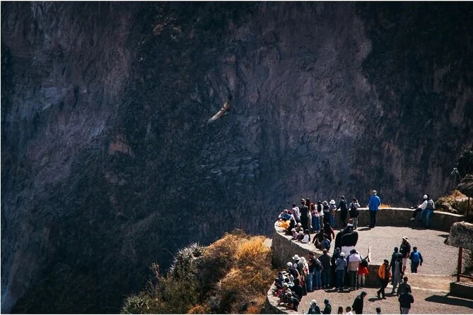 Explore the Colca Canyon From Arequipa 2 Days and 1 Night - Key points to know before booking