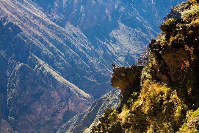 Explore the Colca Canyon From Arequipa 2 Days and 1 Night - Why two days works better than a rushed canyon visit