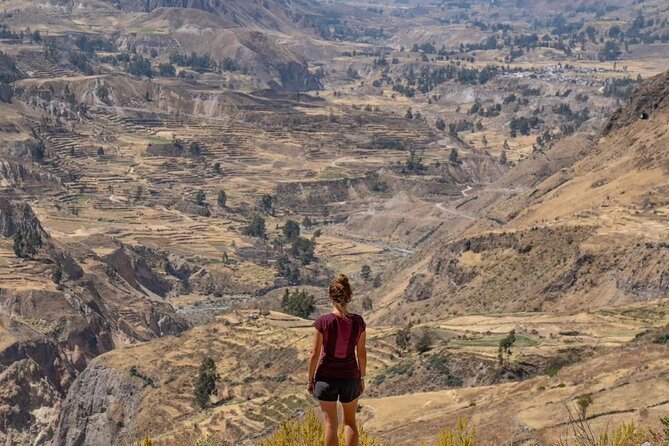 Explore the Colca Canyon From Arequipa 2 Days and 1 Night - Patahuasi and the practical side of altitude
