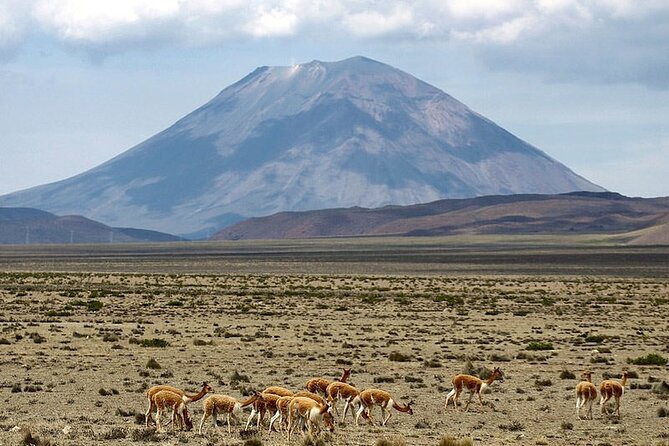 Explore the Colca Canyon From Arequipa 2 Days and 1 Night - Chivay lunch and your first taste of the Colca Valley
