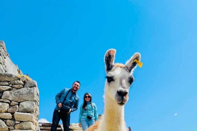FD Machu Picchu: Tour & Machu Picchu Mountain from Cusco - Returning to Aguas Calientes and Cusco