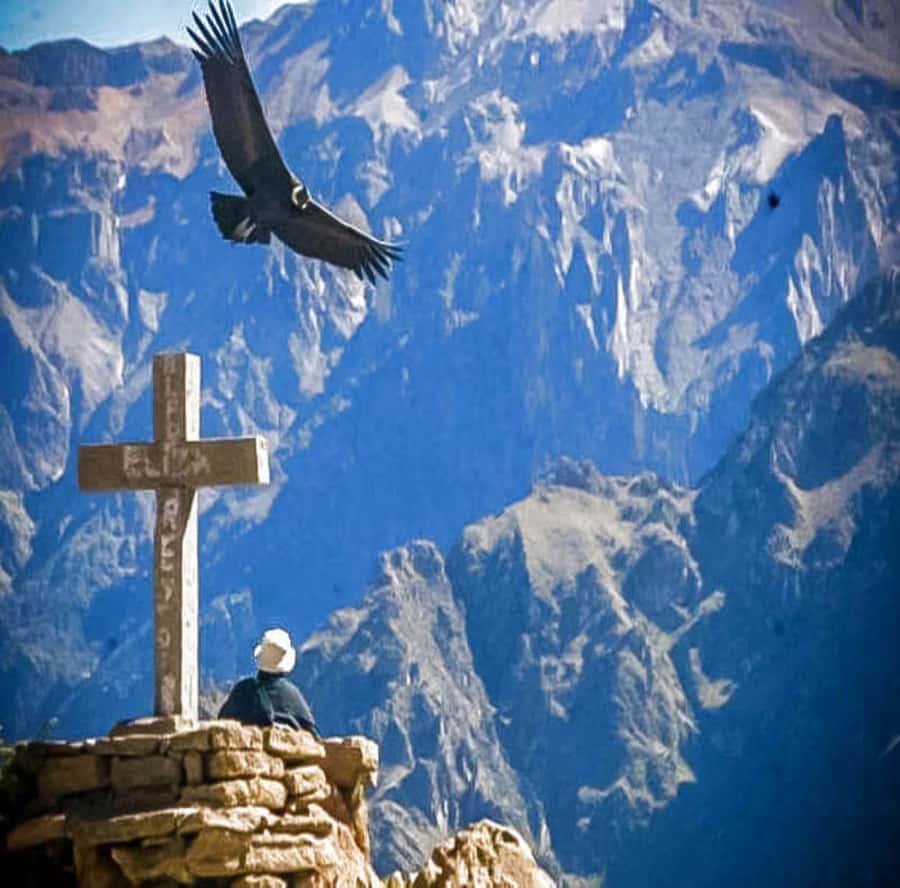 From Arequipa: 2-Day Colca Canyon Tour with Transfer to Puno - What makes this route worth considering