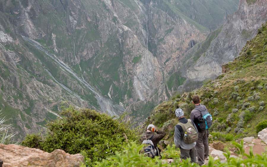 From Arequipa: 2-Day Colca Canyon Trekking Tour - Five things to know before you go