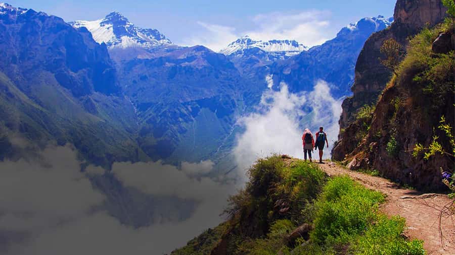 From Arequipa: Colca Canyon Day Trip with Transfer to Puno - Key points to know before booking