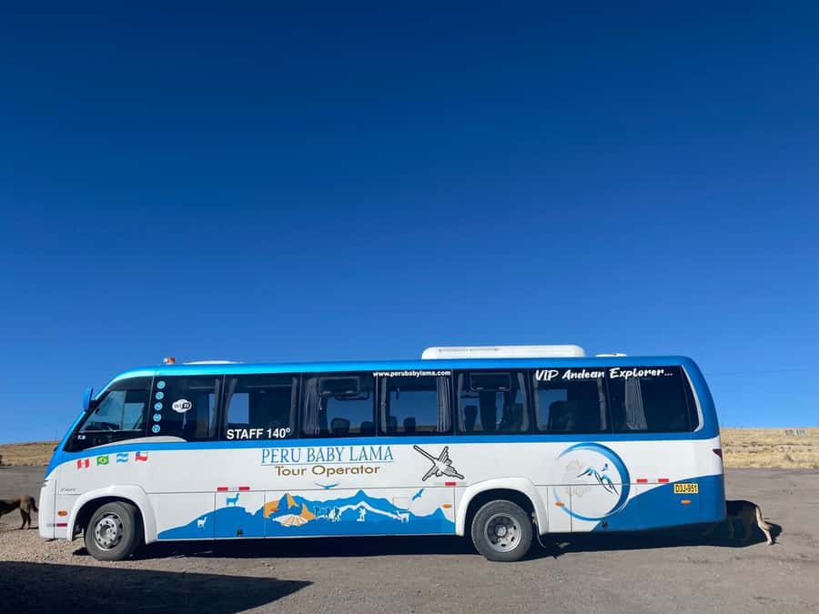 From Arequipa: Colca Canyon Day Trip with Transfer to Puno - Alto Lagunillas and the final run toward Puno