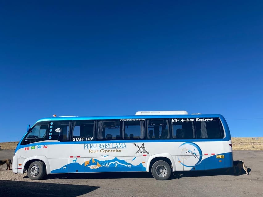 From Arequipa: Colca Canyon Day Trip with Transfer to Puno - Cruz del Cóndor and the canyon edge
