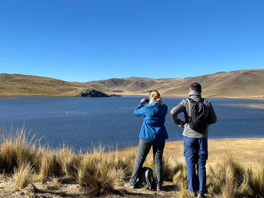 From Arequipa: Colca Canyon Day Trip with Transfer to Puno - Chacapi Hot Springs: a warm break in a cold region