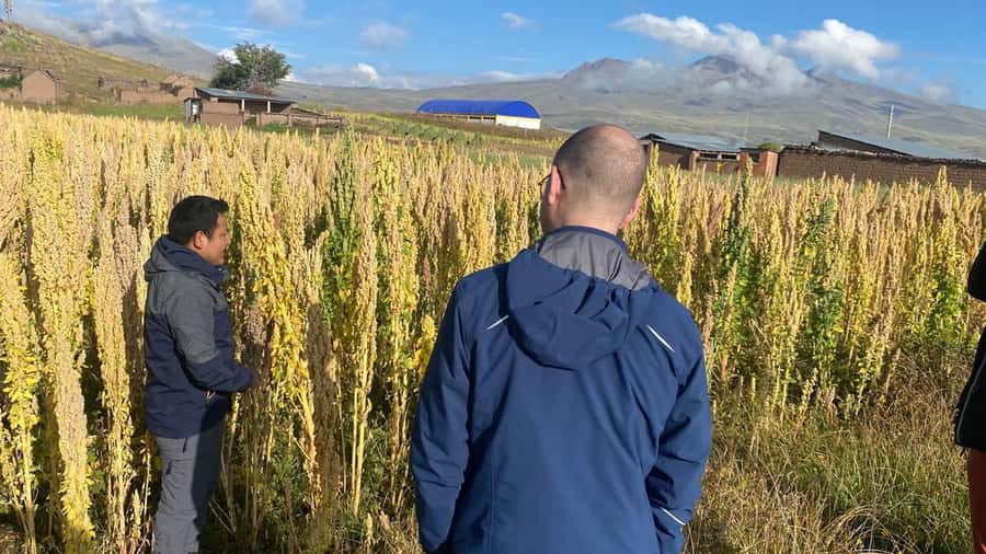 From Arequipa: Colca Canyon Day Trip with Transfer to Puno - Lunch in Chivay and what you pay extra