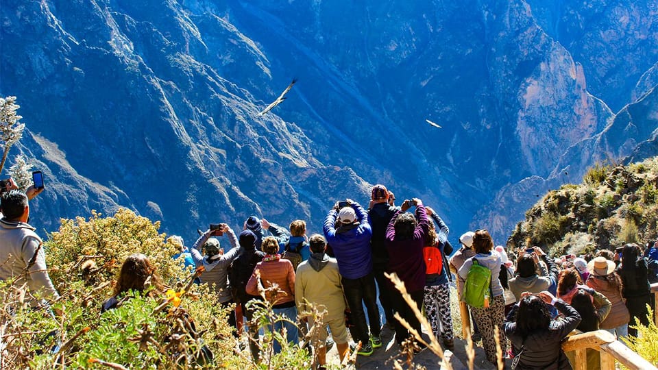 From Arequipa: Colca Canyon Day Trip with Transfer to Puno - Salinas and Aguada Blanca National Reservation