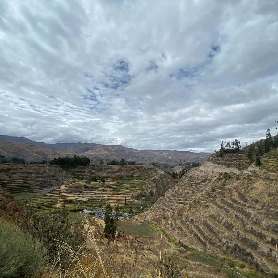 From Arequipa: Colca Canyon & La Calera Thermal Waters - Guide, transport, and what the $66 covers