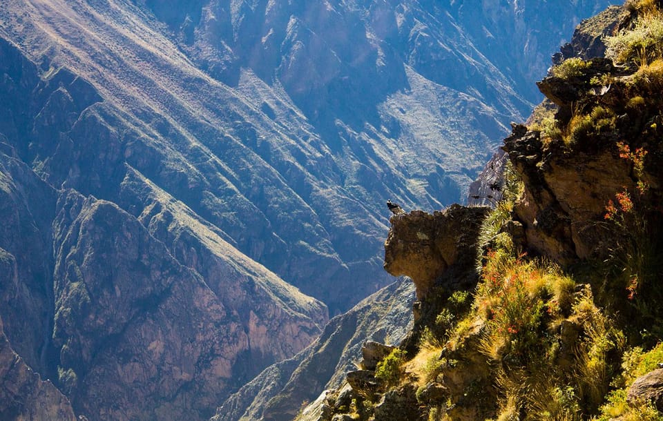 From Arequipa: Colca Valley & Thermal Baths Small-Group Trip - What to pack for changing temperatures