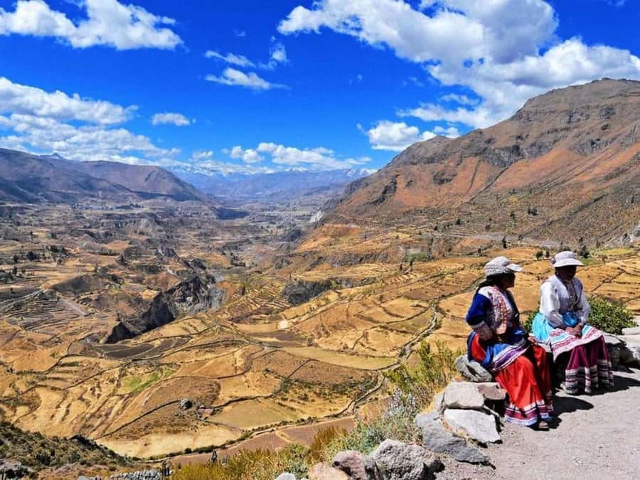 From Arequipa: Full Day Tour of Colca Canyon with Meals - Guides, transport, and the pace of the day