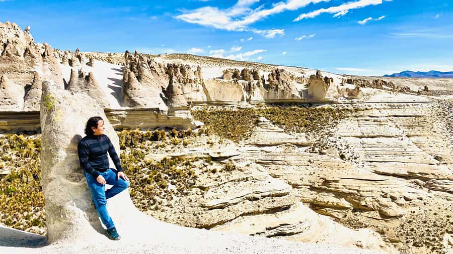 From Arequipa: Pillones Waterfall and Stone Forest Day Trip - Vicuñas in Salinas and Aguada Blanca National Reserve