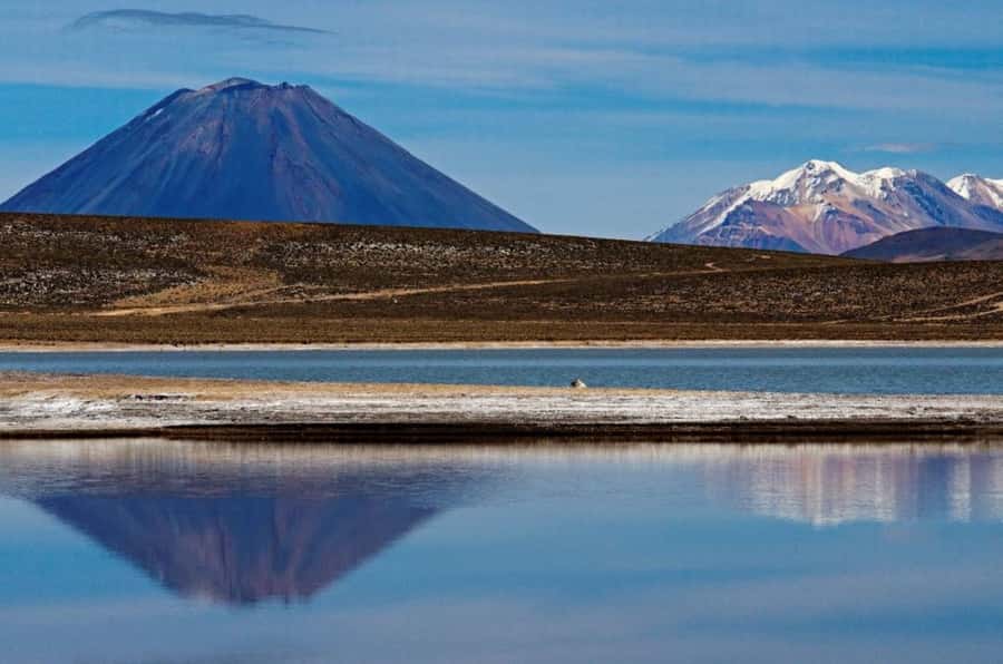 From Arequipa: Salinas Lagoon Full-Day Trip with Hot Springs - Salinas Lagoon and its white-and-blue reflections