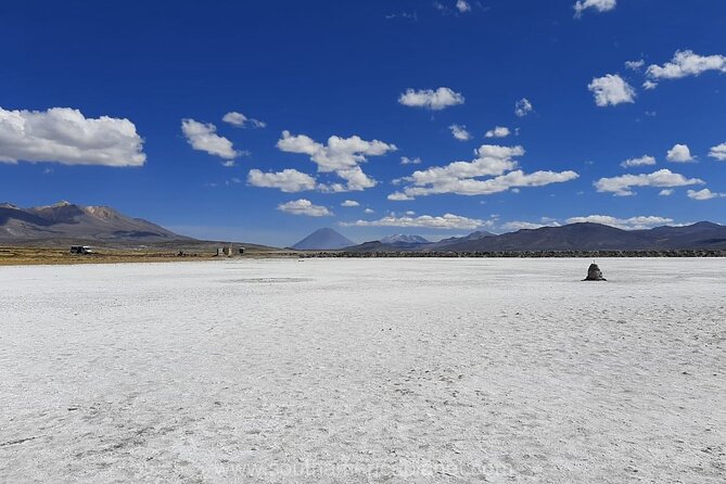 From Arequipa: Salinas Lagoon Half Day Tour - What the $23 price really covers