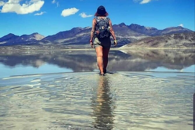 From Arequipa: Salinas Lagoon Half Day Tour - The Misti volcano viewpoint after two hours
