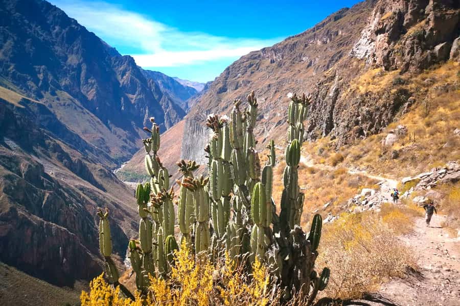 From Arequipa Trek : 2-Days of Hiking in the Colca Canyon - Leaving Arequipa at 3 a.m.