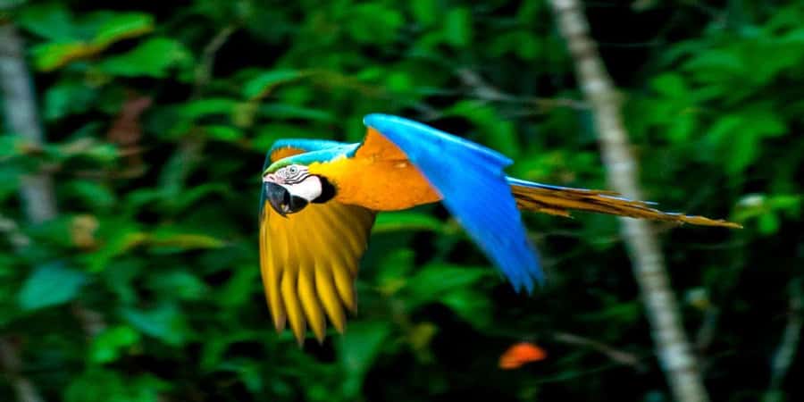 From Cusco: 4 Day Puerto Maldonado Sandoval Lake Excursion - Lodge life: simple rooms and solid meals