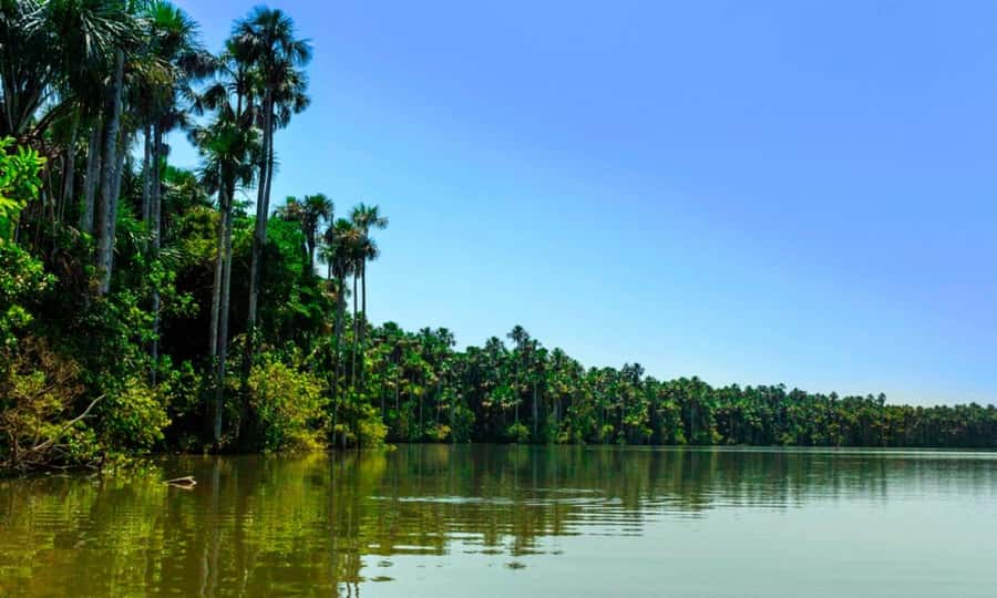From Cusco: 4 Day Puerto Maldonado Sandoval Lake Excursion - What $430 includes, and what it does not