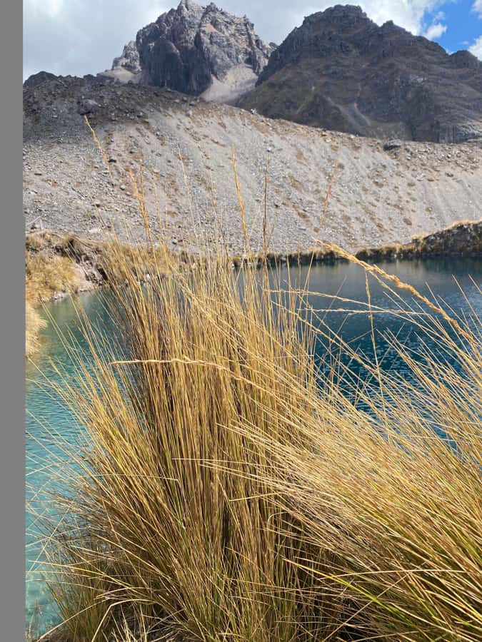 From Cusco: 7 lakes with hot springs in Ausangate and meals - A Plain Buffet Lunch Back in Pacchanta