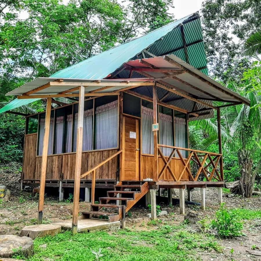 From Cusco: Amazon jungle for two days with sleeper bus and private lodge - River wildlife and the evening search for caimans