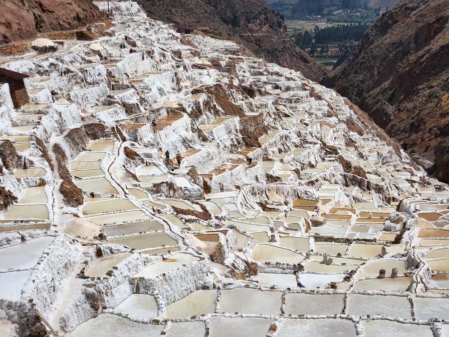 From Cusco: Chinchero, Moray, Maras, Ollantaytambo, Pisaq - The guide, driver and pace