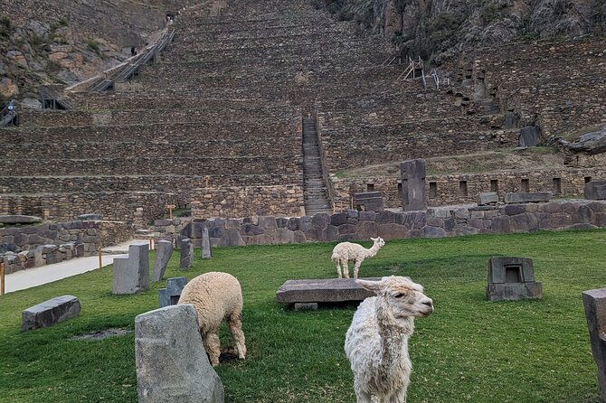 from Cusco:Chinchero,Moray & Salt Mines drop-off in Ollantaytambo - Timing, pace, and who will enjoy it most