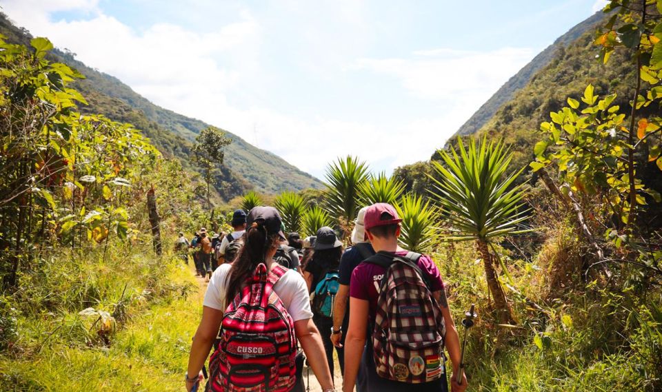 From Cusco: Full-Day Round-Trip Train Tour to Machu Picchu - Should You Book This Tour?