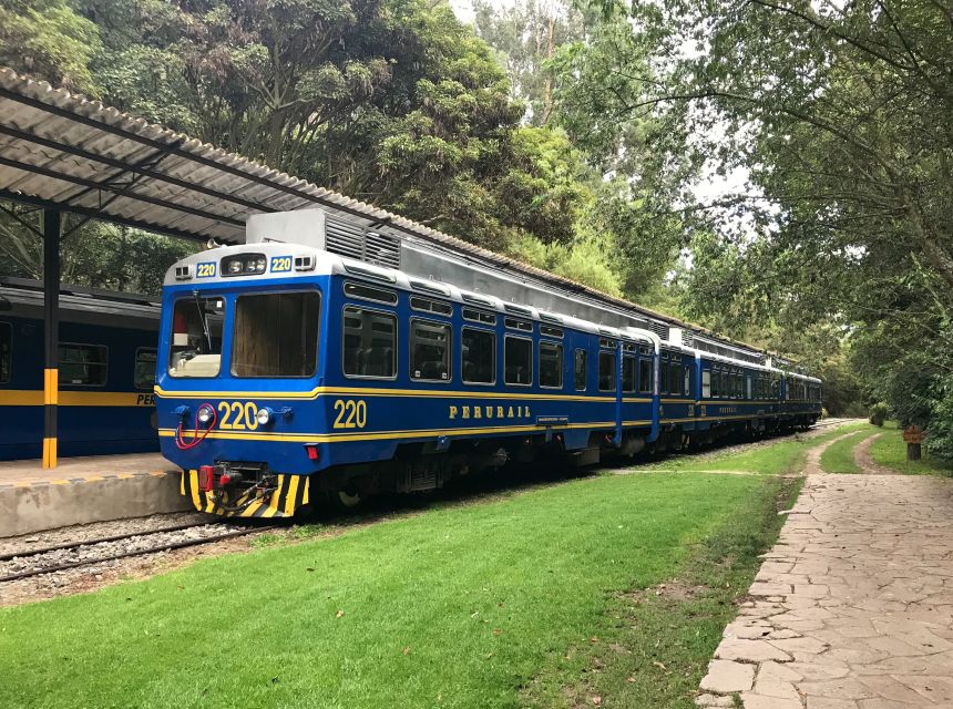 From Cusco: Machu Picchu Private Day Trip on Panoramic Train - Why the private guide matters here