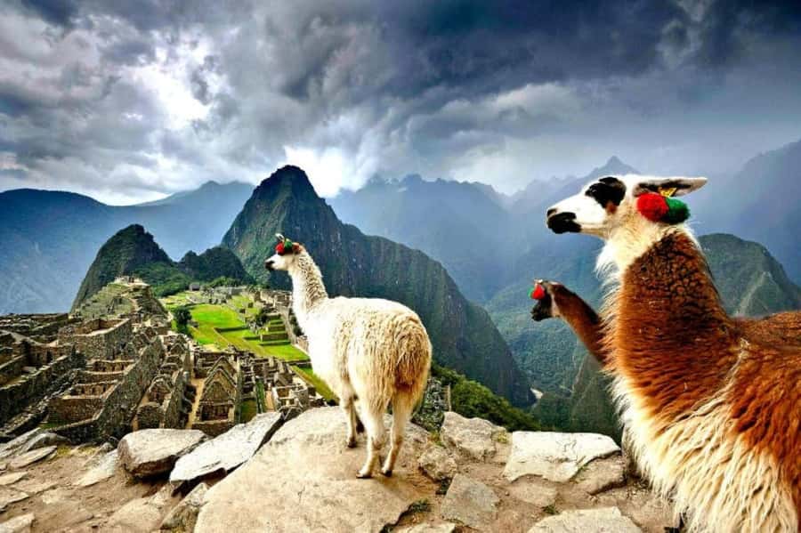 From Cusco:MachuPicchu Excursion 1 day plus Ticket and Train - Key points at a glance