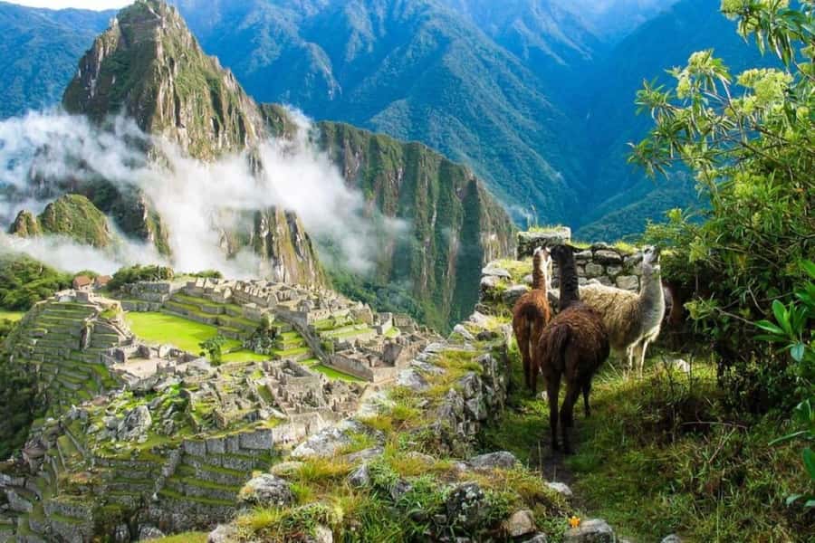 From Cusco:MachuPicchu Excursion 1 day plus Ticket and Train - What $329 buys you
