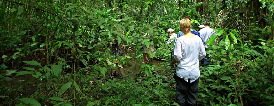 From Cusco: Manu National Park 3 Day Tour - Key details before you book